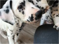 IMG_20241117_140345