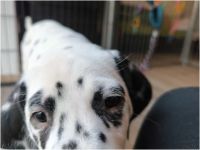 IMG_20241117_140414