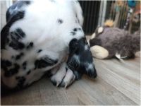 IMG_20241117_140455