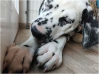 IMG_20241117_140458_1