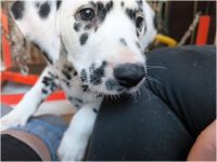 IMG_20241117_140506