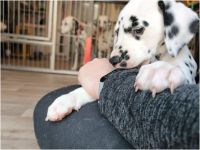 IMG_20241117_140617