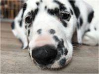 IMG_20241117_141603