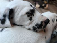 IMG_20241117_143559