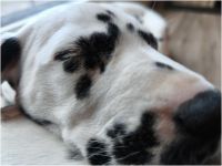 IMG_20241117_143606