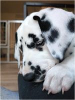 IMG_20241117_145157