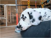 IMG_20241117_145343