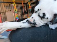 IMG_20241117_145509