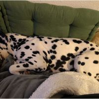 IMG_20241112_004520