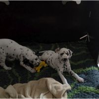 IMG_20241112_121618
