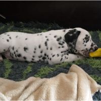 IMG_20241112_121831