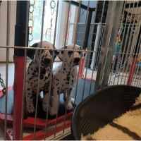 IMG_20241113_113702
