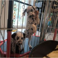 IMG_20241113_113704
