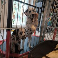 IMG_20241113_113704_1