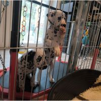 IMG_20241113_113705