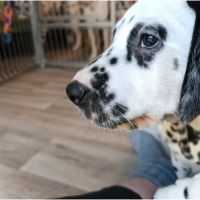 IMG_20241117_140300_1