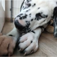 IMG_20241117_140458_1