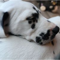 IMG_20241117_143559