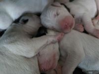 IMG_20250102_121345_web