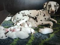 IMG_20250102_122427_web