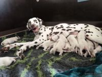 IMG_20250103_104800_web