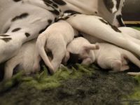 IMG_20250103_124341_web