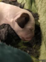 IMG_20250103_124452_web