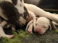 IMG_20250103_124501_web