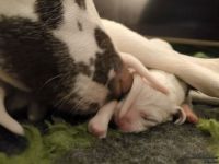 IMG_20250103_124503_web