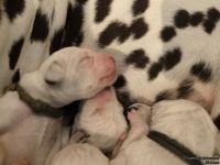 IMG_20250103_124544_web