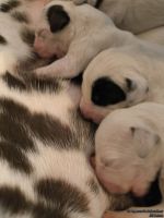 IMG_20250103_124952_web