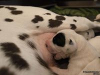 IMG_20250103_125055_web