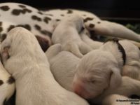 IMG_20250103_125116_web