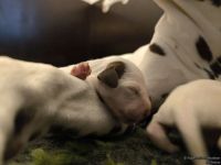 IMG_20250105_094620_web