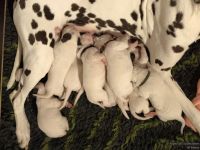 IMG_20250106_172038_web