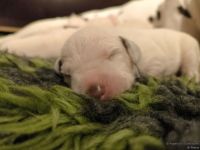 IMG_20250106_172058_web