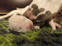 IMG_20250106_172106_web