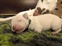 IMG_20250106_172109_web