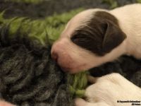 IMG_20250106_172152_web