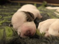 IMG_20250106_172155_web