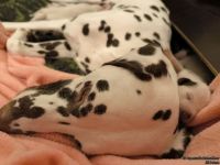 IMG_20250106_172602_web