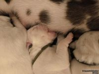 IMG_20250106_172650_web