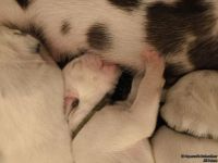 IMG_20250106_172651_web