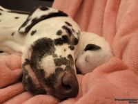 IMG_20250106_172732_web