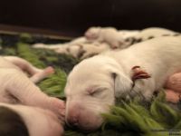 IMG_20250106_172748_web