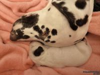 IMG_20250106_172805_web