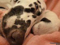 IMG_20250106_172829_web