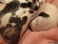 IMG_20250106_172831_web