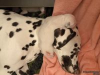 IMG_20250106_172938_web