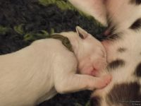 IMG_20250106_172956_web